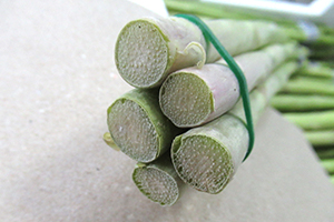 茎の切り口が乾燥し、繊維が目立ち変色が始まっています。